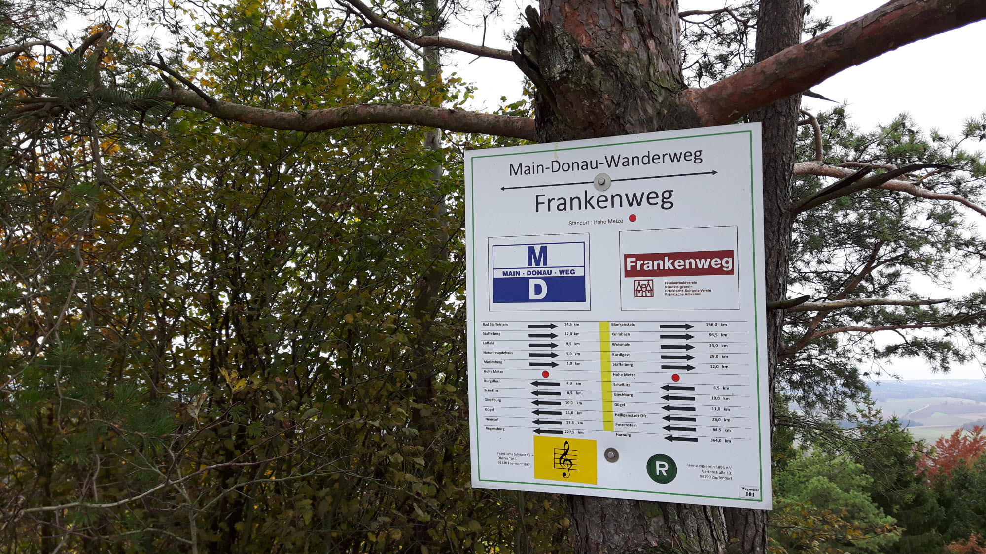 Akazienblüte Wandern